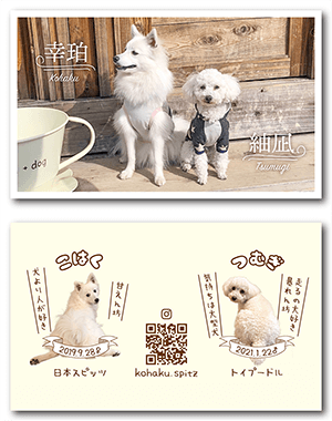 チンチラのペット名刺