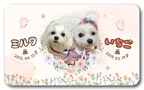 長方形ペット名刺の表面画像