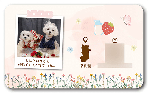 長方形ペット名刺の裏面画像