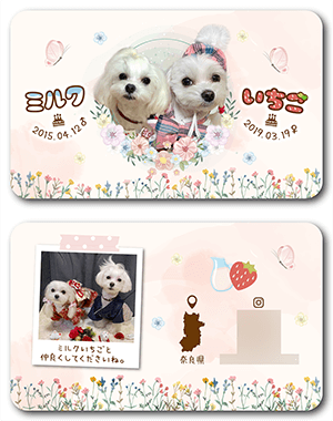 犬のペット名刺