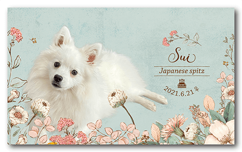 長方形ペット名刺の表面画像