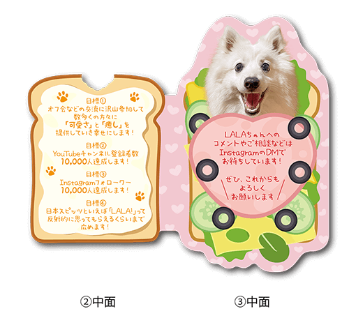 2つ折り型抜きペット名刺の中面画像