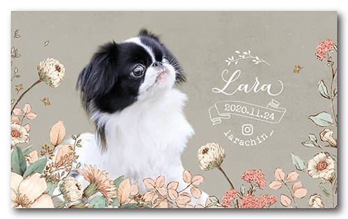 犬の長方形ペット名刺画像