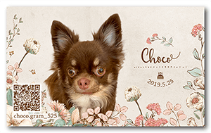 犬のペット名刺