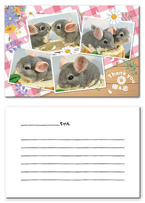 犬のペット年賀状