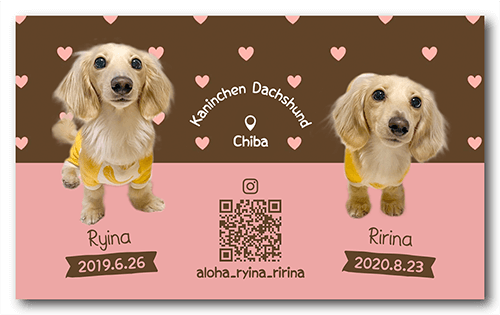 長方形ペット名刺の裏面画像