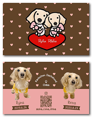 チンチラのペット名刺