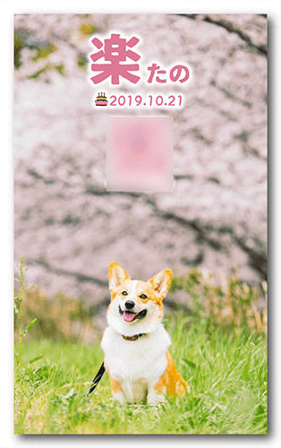 犬の長方形ペット名刺画像