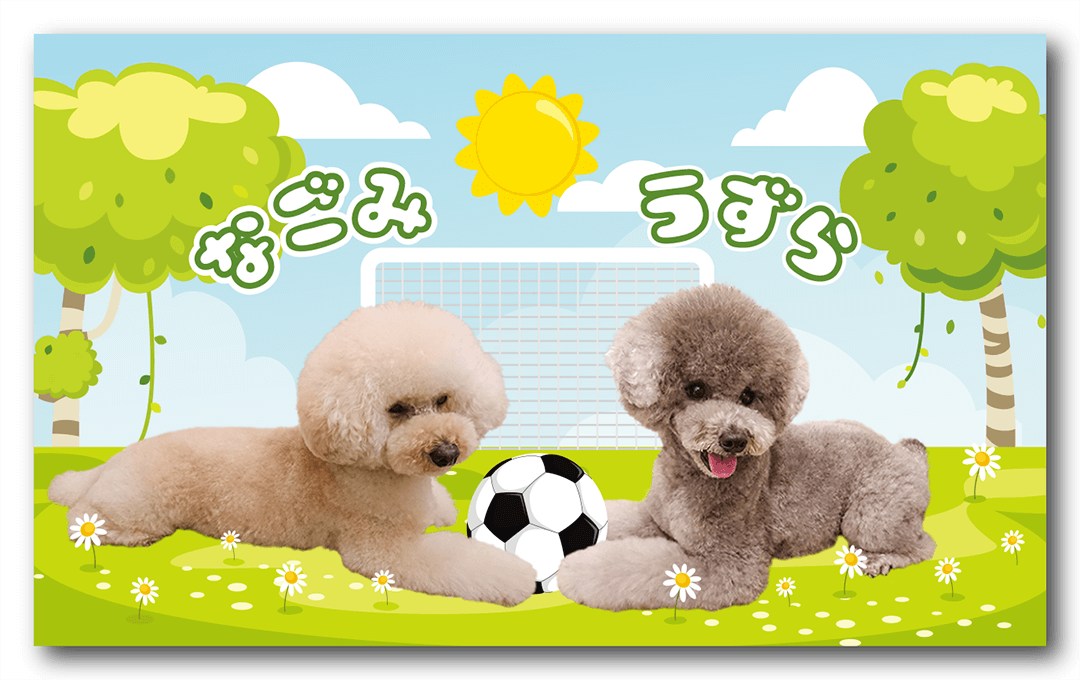 長方形ペット名刺の表面画像