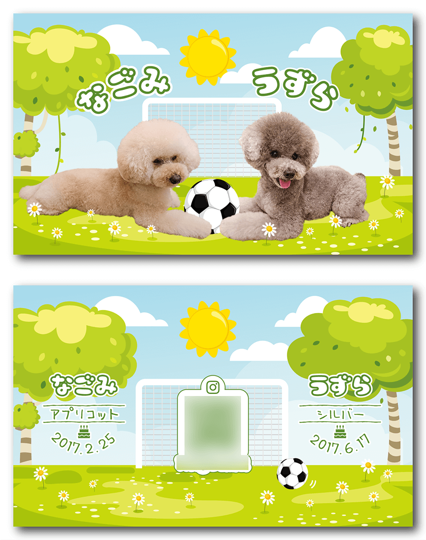 チンチラのペット名刺