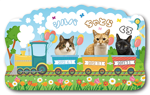 型抜きペット名刺の表面画像