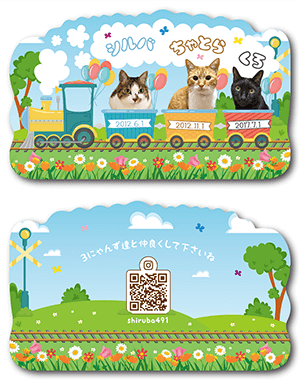 うさぎ（多頭飼い）のペット名刺