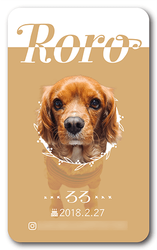 長方形ペット名刺画像