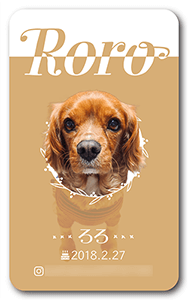 犬のペット名刺