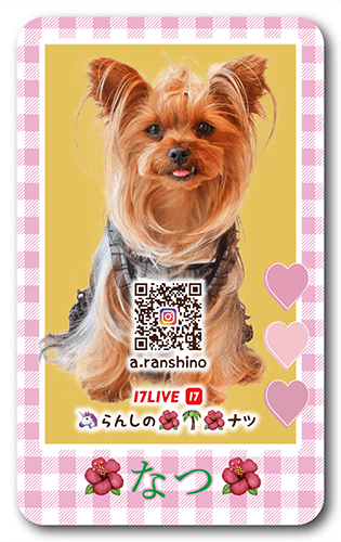 犬の長方形ペット名刺画像