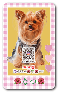 犬のペット名刺
