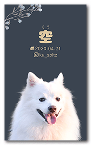 犬のペット名刺