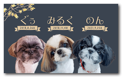 ペット名刺の表面画像