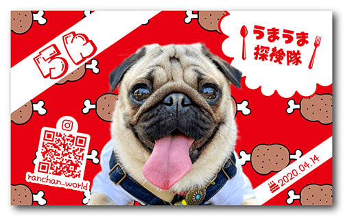 犬の長方形ペット名刺画像