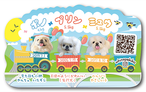 ペット名刺画像