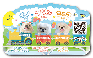 犬（多頭飼い）のペット名刺