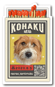 犬のペット名刺