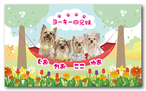 長方形ペット名刺の表面画像