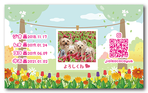 長方形ペット名刺の裏面画像