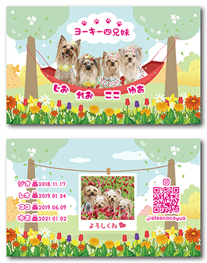 チンチラのペット名刺