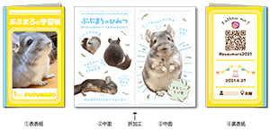 チンチラの2つ折りのペット名刺