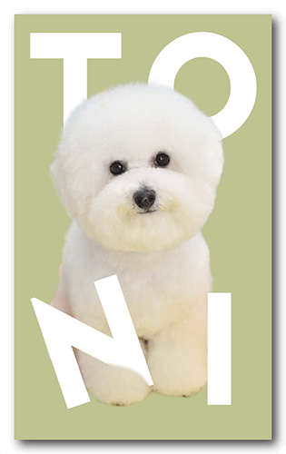 ペット名刺の表面画像