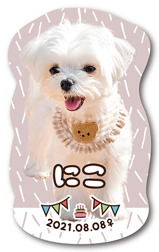 型抜きペット名刺の表面画像