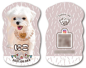 犬のペット名刺