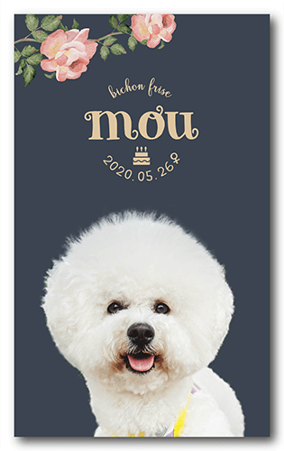 ペット名刺の表面画像