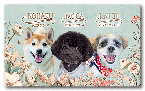 長方形ペット名刺の表面画像