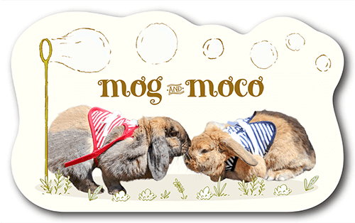 型抜きペット名刺の表面画像