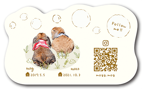 型抜きペット名刺の裏面画像