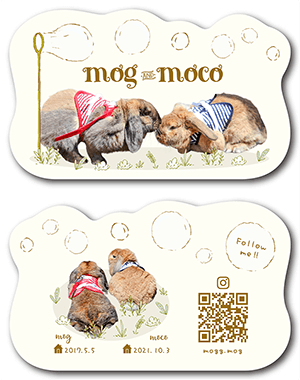 うさぎ（多頭飼い）のペット名刺