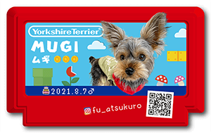 犬のペット名刺