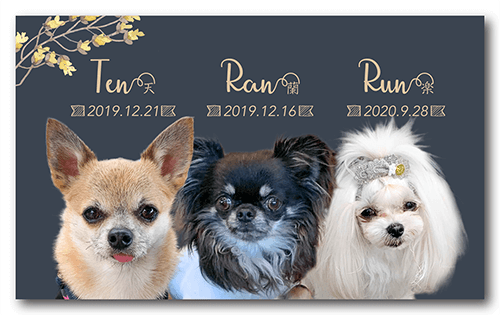 ペット名刺の表面画像