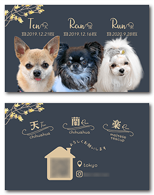 犬のペット名刺