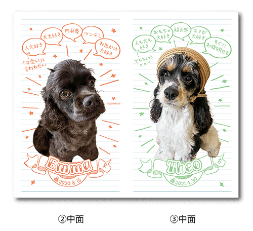 2つ折り型抜きペット名刺の中面画像