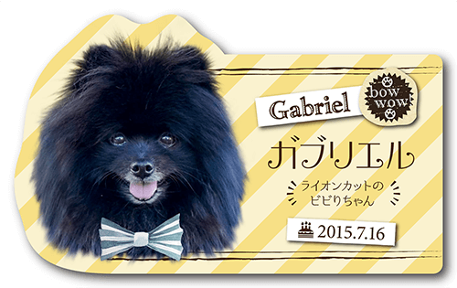 型抜きペット名刺の表面画像