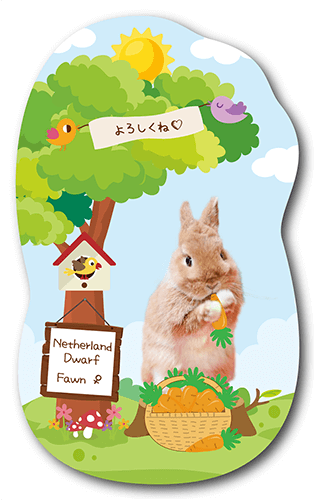 ペット名刺の裏面画像