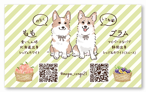 長方形ペット名刺の裏面画像