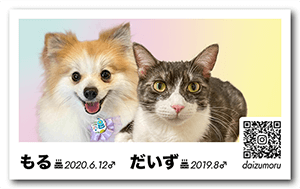 土偶ブログのペット名刺