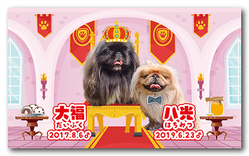 長方形ペット名刺の表面画像