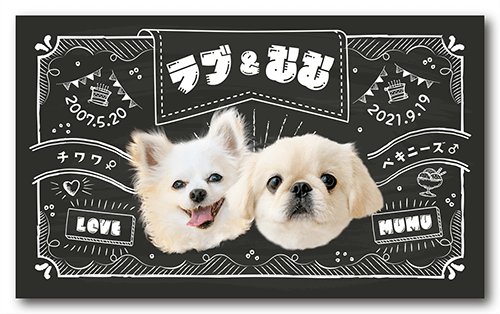 長方形ペット名刺の表面画像