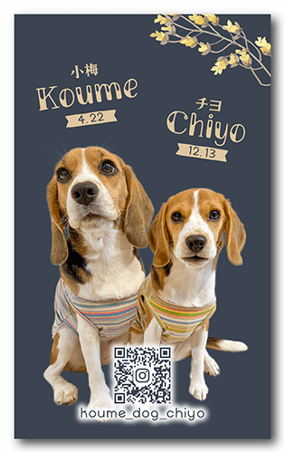 長方形ペット名刺画像