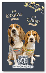 犬のペット名刺